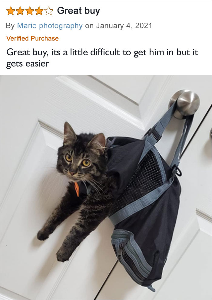 A Little Difficult To Get Him In But It Gets Easier