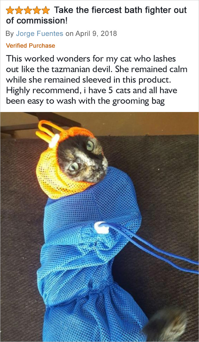 This Worked Wonders For My Cat Who Lashes Out Like The Tazmanian Devil