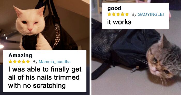 People Are Finding Out That Cat Grooming Bag Reviews On Amazon Are Quite Hilarious, And Here Are 23 Of The Best Ones