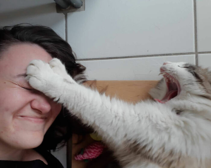 "Here Is An Example Of How I Say (Softly And Without Nails) No To Cuddles"