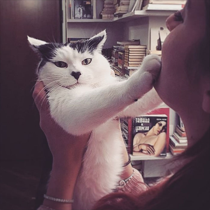 You'll Never Have Me, Human