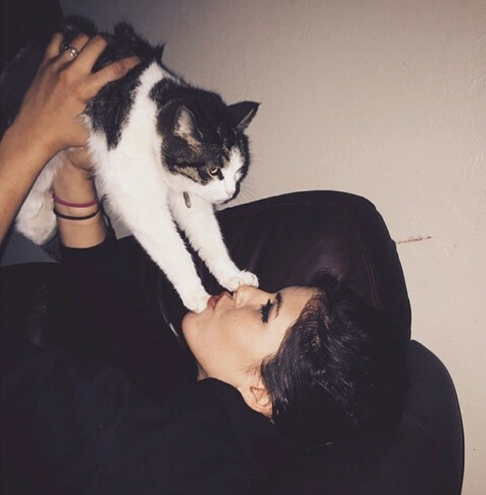 When Your Cat Doesn't Love You And Rejects Your Kisses