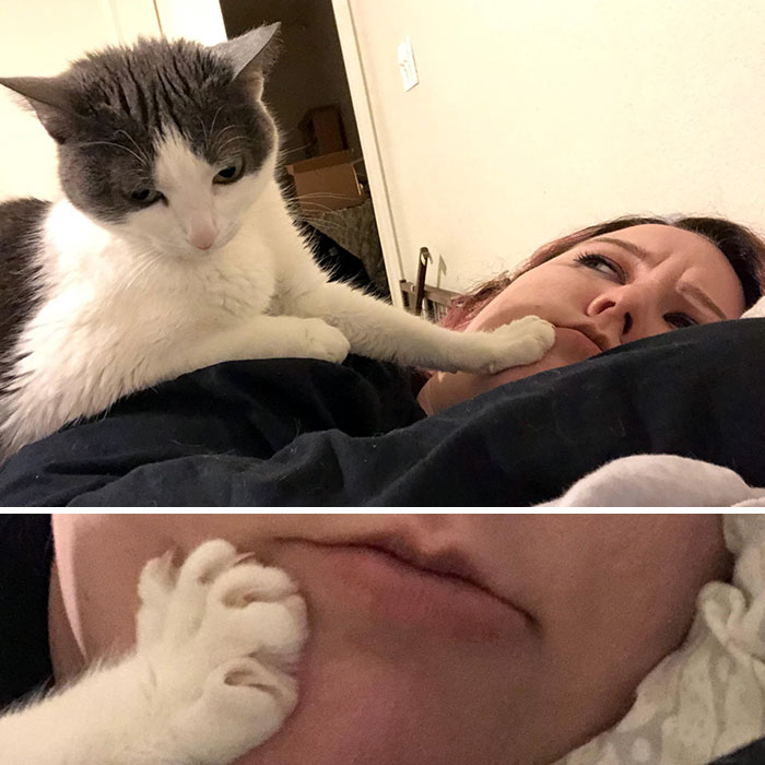 She Doesn’t Really Cuddle, But She Will Grace You With The Occasional Presence Of Her Murder Mitten On Your Face