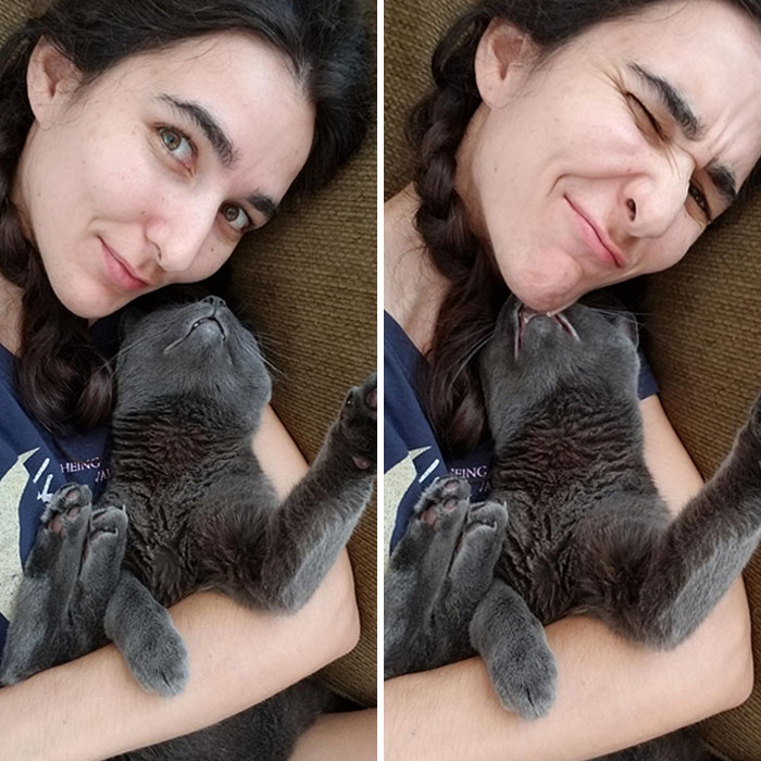 From Purring And Half Asleep To Chin Chomps. Danger Cuddles Still 110% Worth It