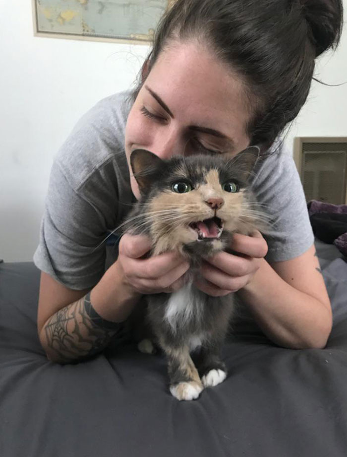 I Wanted To Love Her, She Wanted To Yell