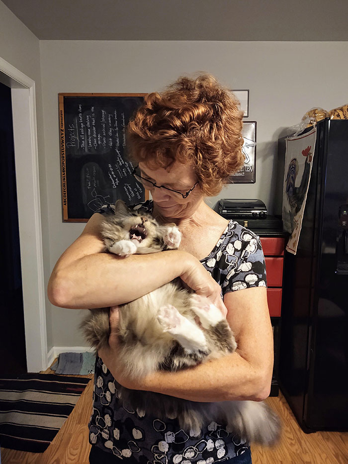 Manfred Had Enough Of Grandma Cuddles