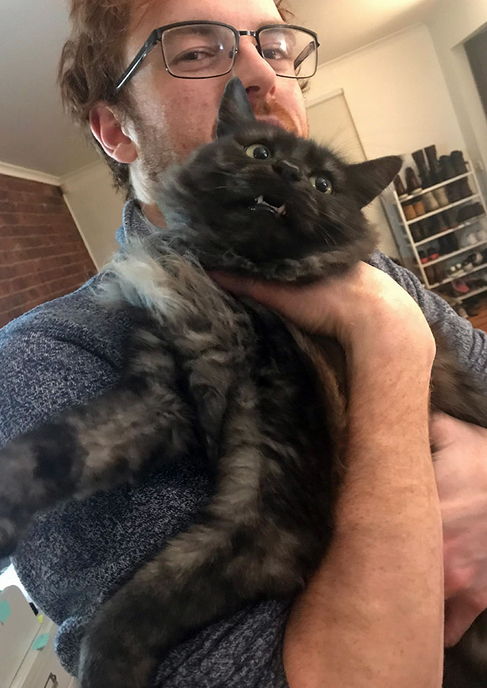 Someone Really Didn’t Want A Cuddle