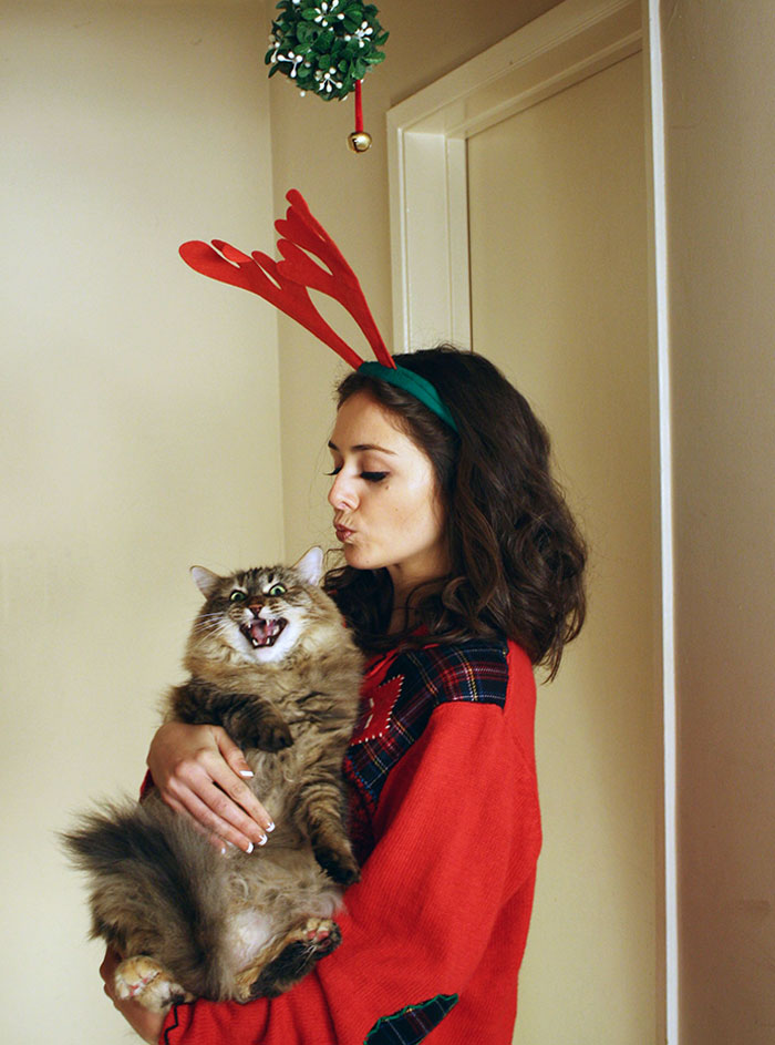 Stop Trying To Get Mistletoe Kisses From Me