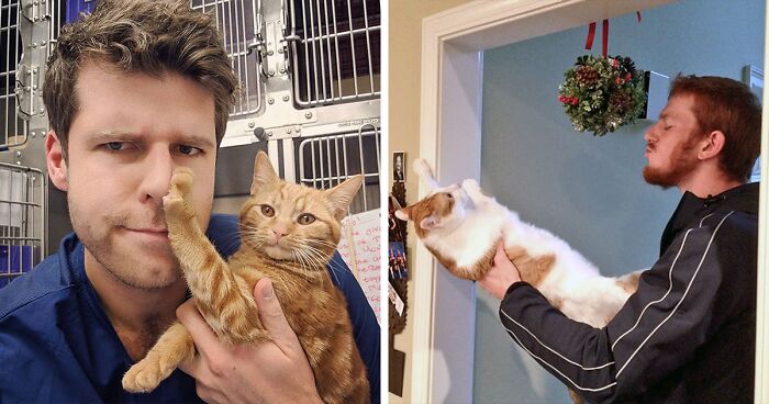 40 Gatos que NO querían mimos de ningún modo