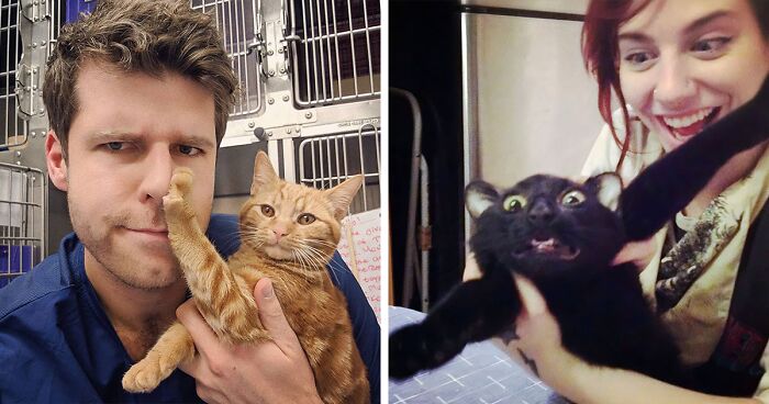 40 Hilarious Times Cats Said A Firm ‘NO’ To Cuddles