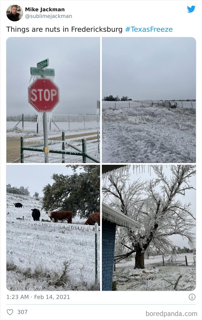 Texas Winter Storm