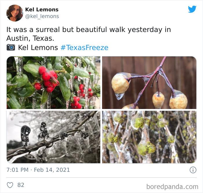 Texas Winter Storm