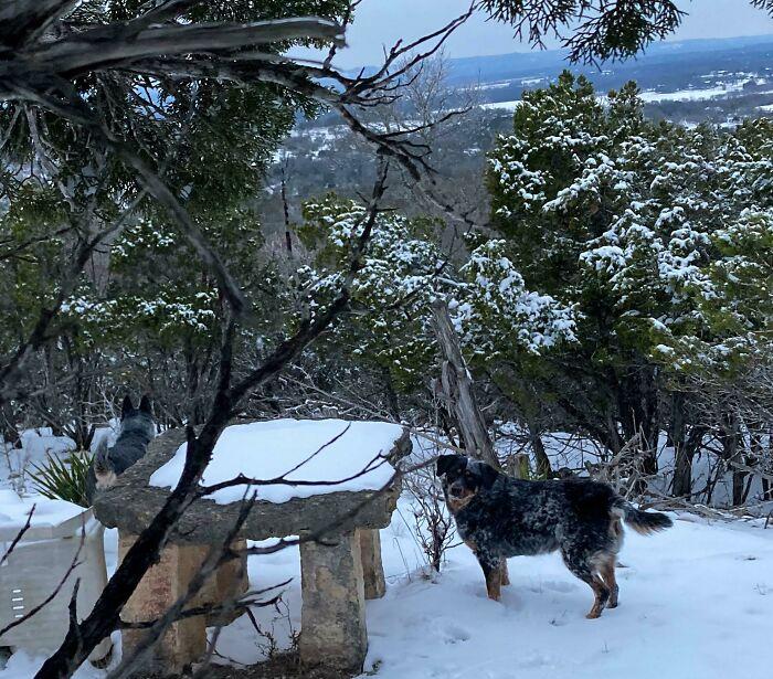 Texas Hill Country Trying To Be Canada!