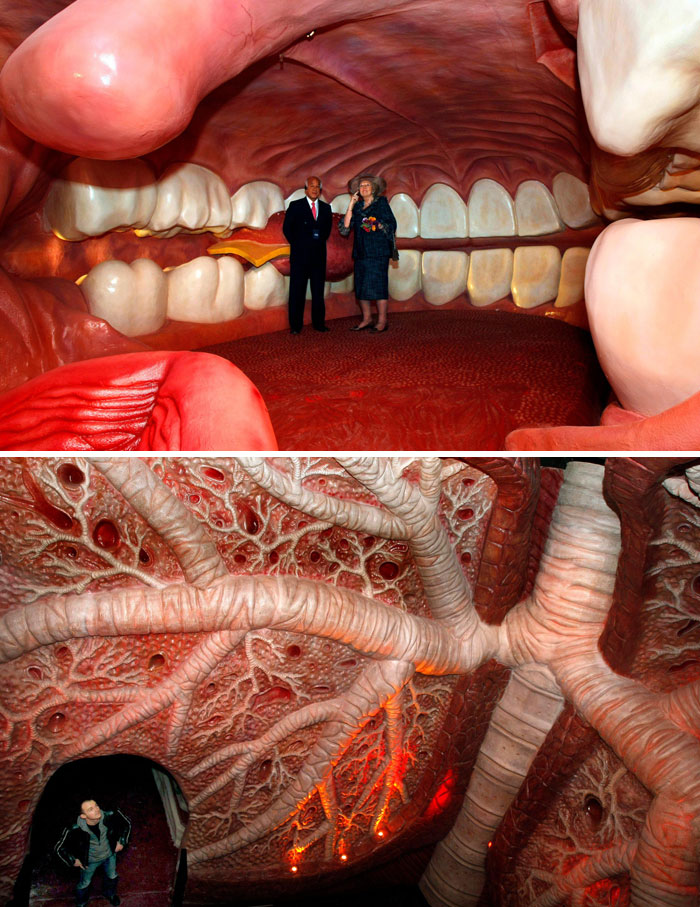 Corpus - Human Biology Interactive Museum In Netherlands