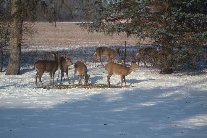 Someone Asks People Who Live In A Rural Area “What Will 'City Folk' Never Understand?” And Here Are 30 Of The Best Responses