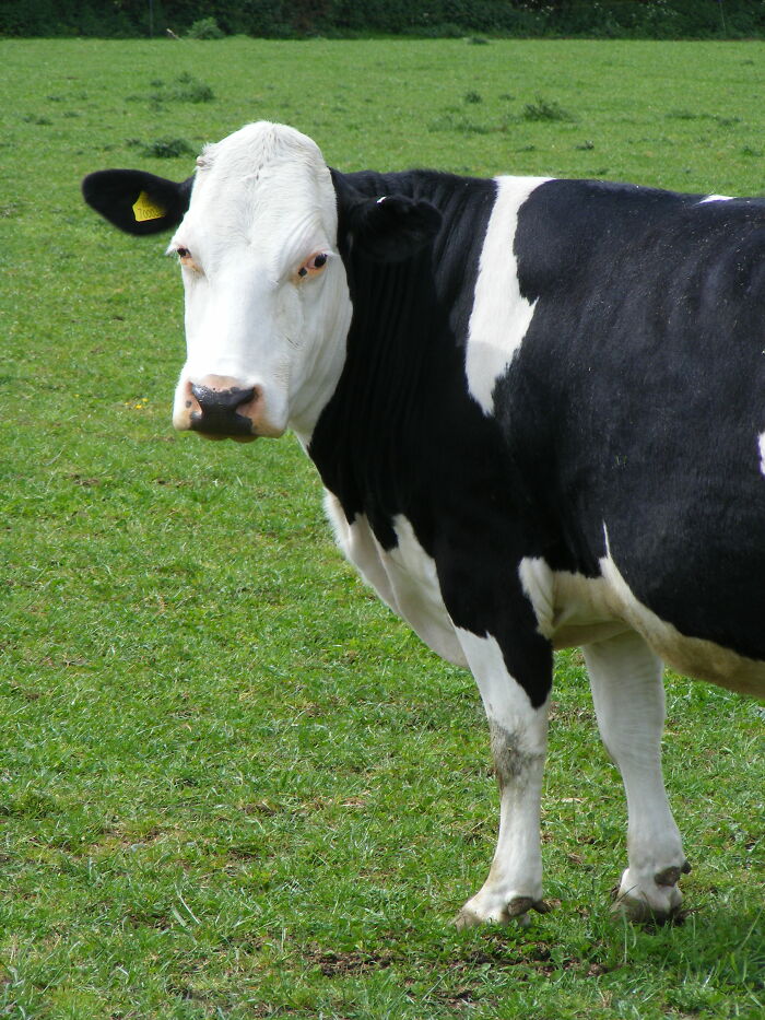 Someone Asks People Who Live In A Rural Area “What Will 'City Folk' Never Understand?” And Here Are 30 Of The Best Responses