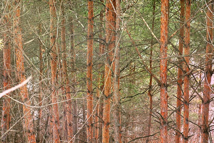 Someone Asks People Who Live In A Rural Area “What Will 'City Folk' Never Understand?” And Here Are 30 Of The Best Responses