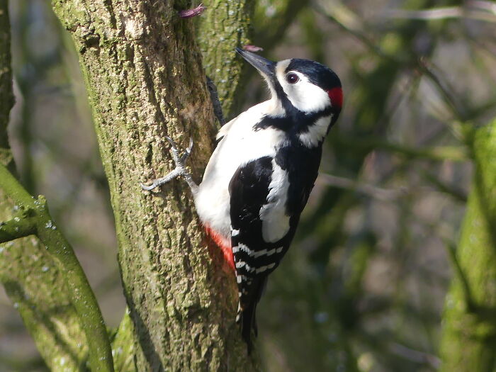 Someone Asks People Who Live In A Rural Area “What Will 'City Folk' Never Understand?” And Here Are 30 Of The Best Responses