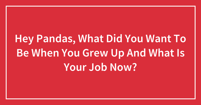 Hey Pandas, What Did You Want To Be When You Grew Up And What Is Your Job Now?