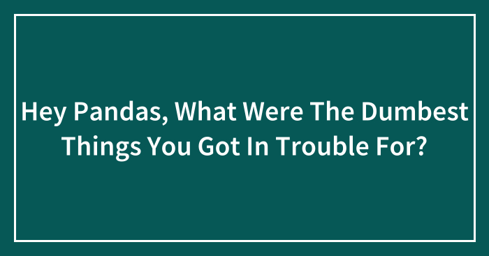 Hey Pandas, What Were The Dumbest Things You Got In Trouble For? (Closed)