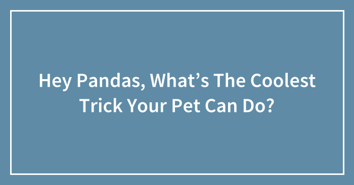 Hey Pandas, What’s The Coolest Trick Your Pet Can Do? (Closed)