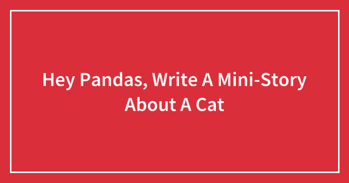 Hey Pandas, Write A Mini-Story About A Cat (Closed)