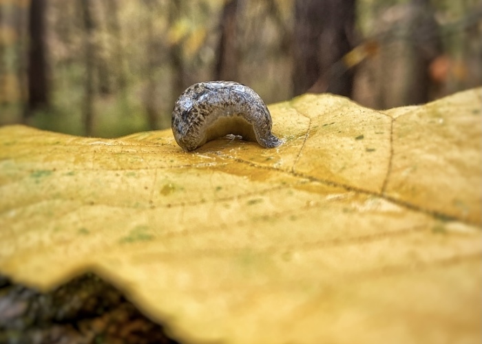 Hey Pandas, Post Your Favorite Picture You’ve Ever Taken (Closed)