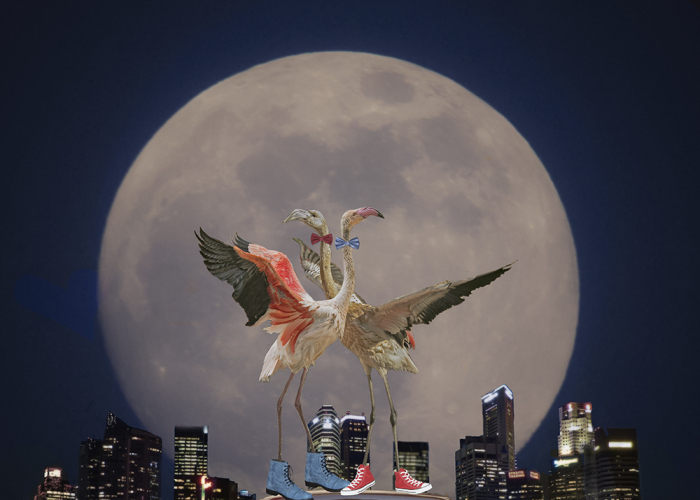 I Make Surreal New Worlds With Photos