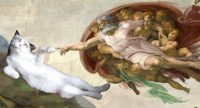 Hey Pandas, Photoshop Your Sleeping Pet On An Adventure (Closed)