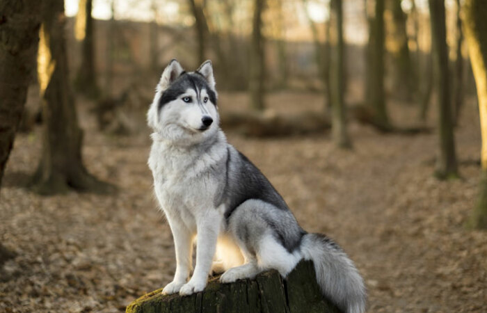 Hey Pandas, What’s The Best Gift You’ve Ever Had? (Closed)