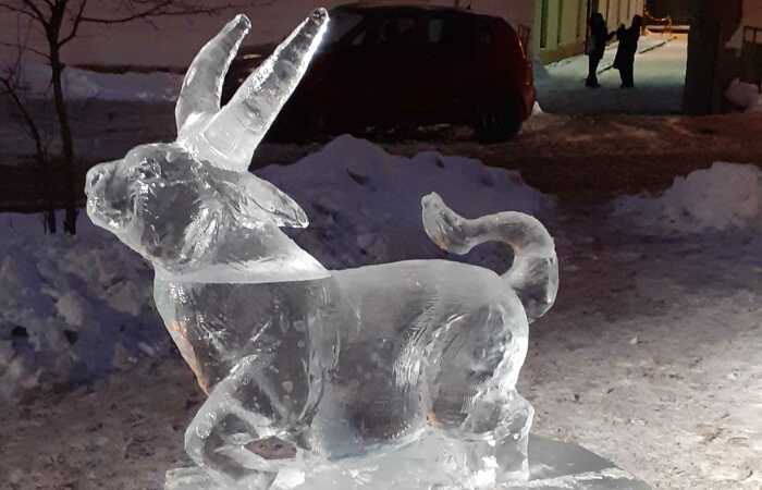 Hey Pandas, Show Beauty In Ice (Closed)