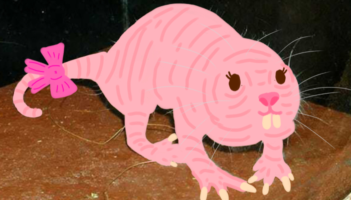 Hey Pandas, How About You Try To Make Him Cute? (Closed)