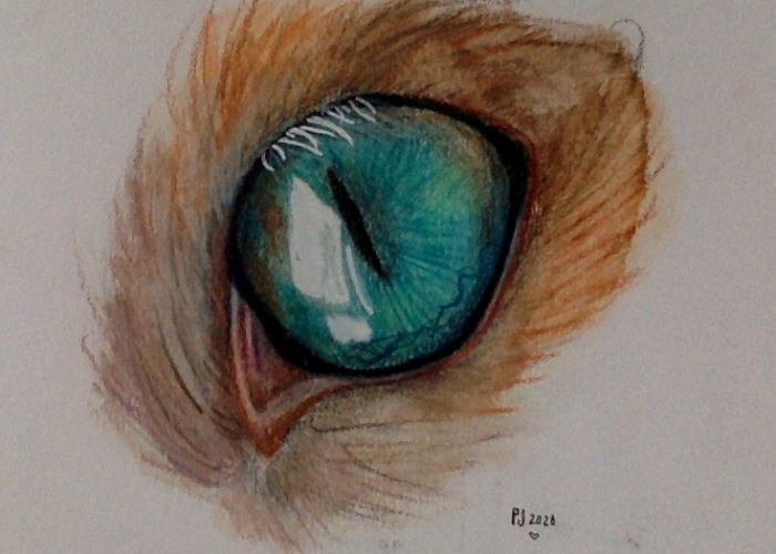 Hey Pandas, Post A Picture Of Your Weirdest, Most Random Hobby (Closed)