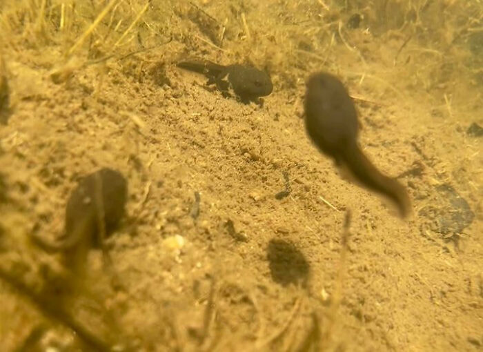 I Learned Two Things This Day