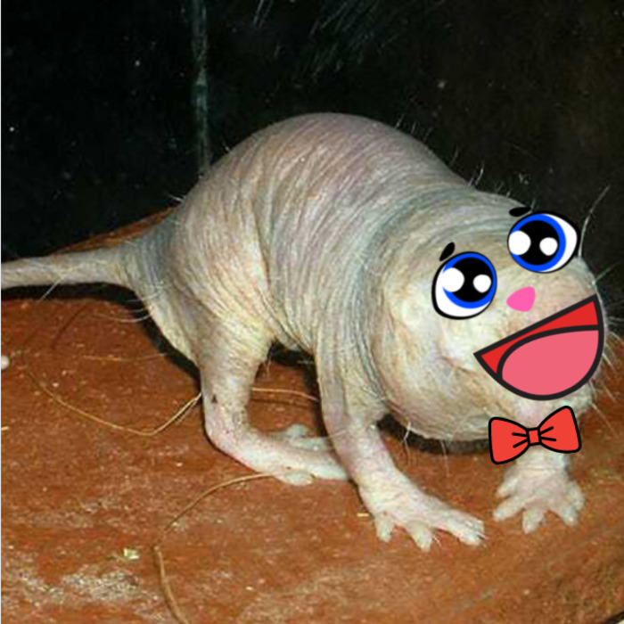 Dora The Explorer, New Cast ...!!