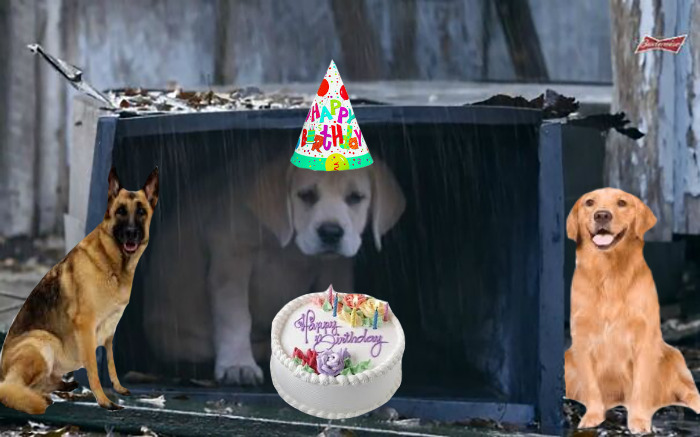 His Friends Planned A Surprise Party For Him!