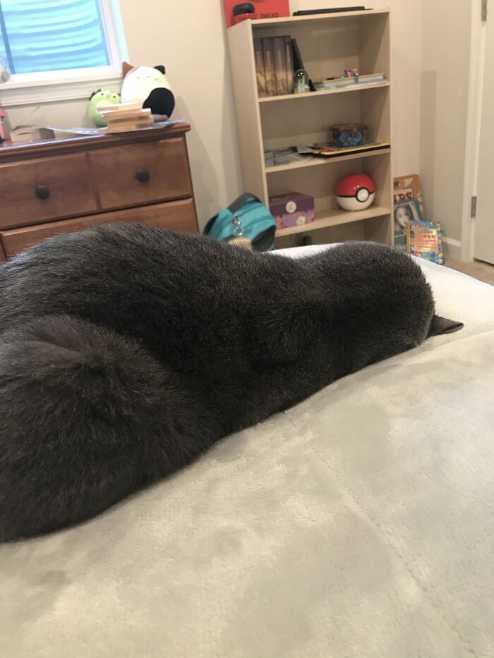 Simon.exe Has “Given Up”