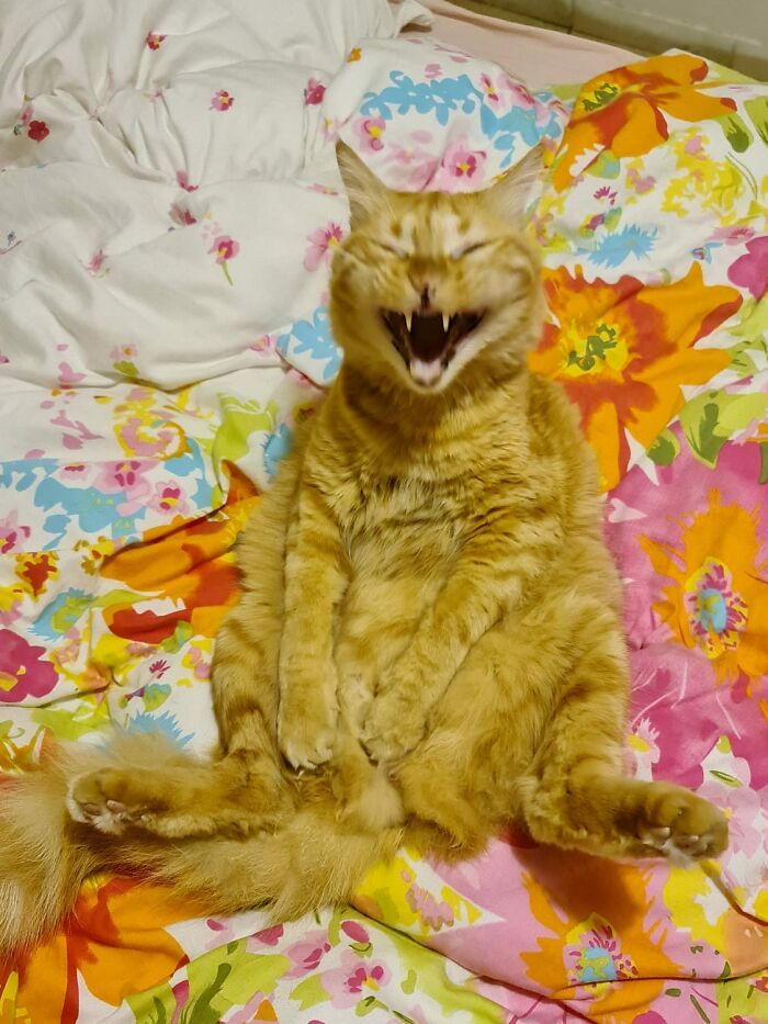 That Joke Must Have Been A Slap!