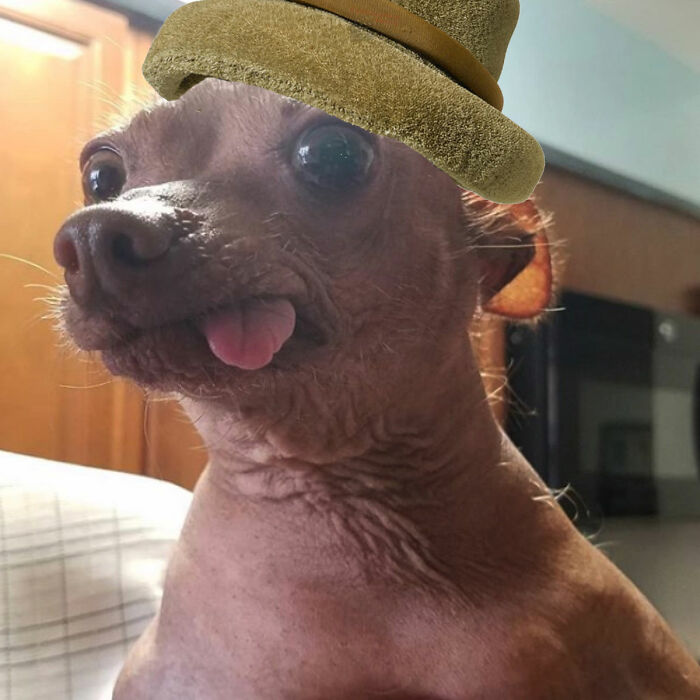 Hat Makes Him Cuter, But He's Already Cute Tho