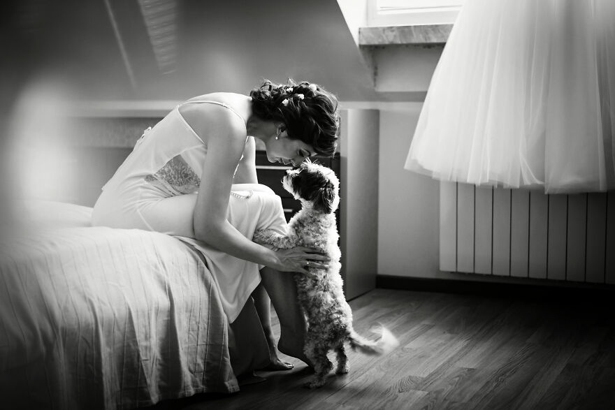 One Sweet Moment Of Love Before This Puppy's Human Becomes A Bride
