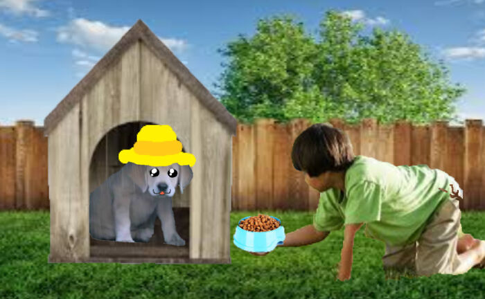 He Just Needed A Home!