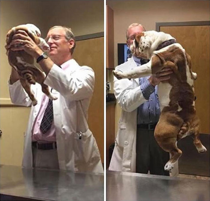 The Only Transformation Picture You Need To See