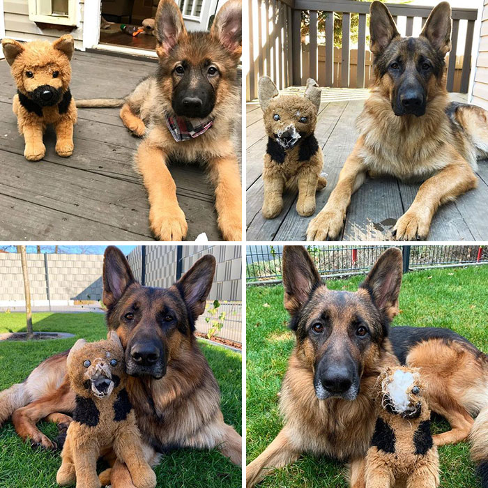 Strider Poses Through The Years With His Baby
