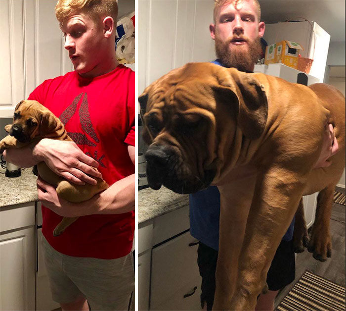 June (2 Months Old) To Yesterday (10 Months Old)