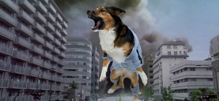 Dog-Zilla