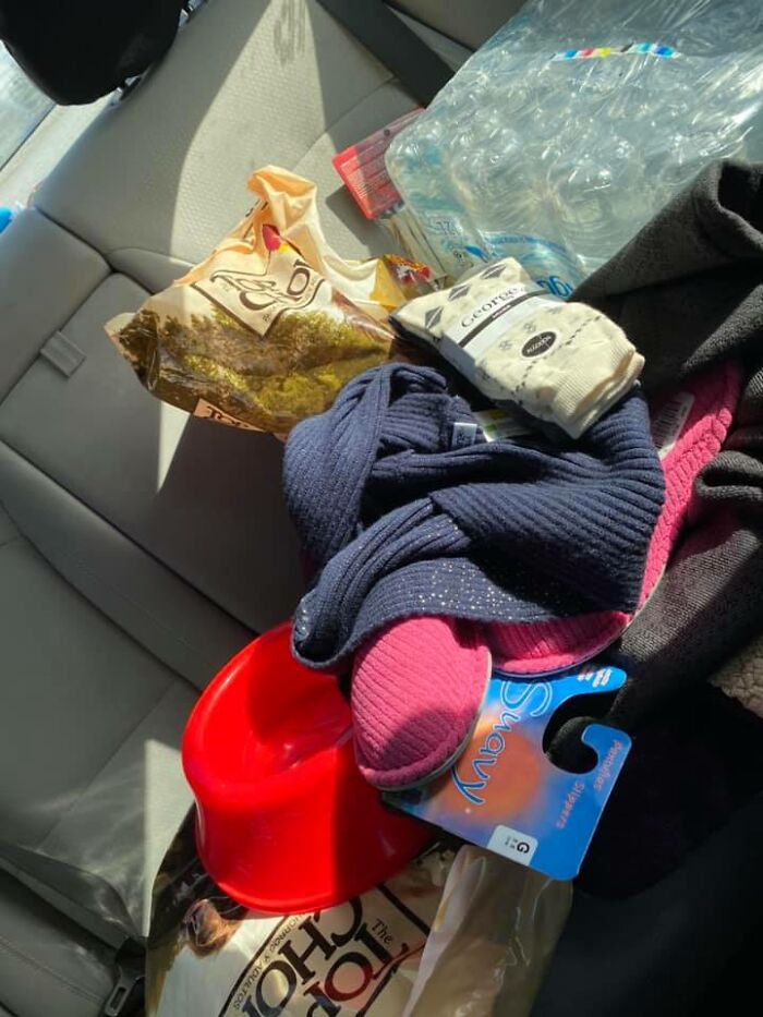 Homeless Woman Found In A Garbage Bag On The Street With 6 Dogs Refuses To Go To A Shelter Because They Don't Allow Pets