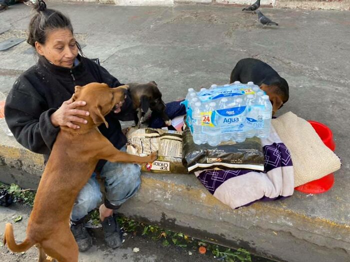 Homeless Woman Found In A Garbage Bag On The Street With 6 Dogs Refuses To Go To A Shelter Because They Don't Allow Pets Homeless Woman Found In A Garbage Bag On The Street With 6 Dogs Refuses To Go To A Shelter Because They Don't Allow Pets