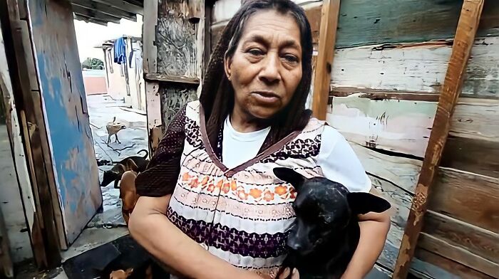 Homeless Woman Found In A Garbage Bag On The Street With 6 Dogs Refuses To Go To A Shelter Because They Don't Allow Pets Homeless Woman Found In A Garbage Bag On The Street With 6 Dogs Refuses To Go To A Shelter Because They Don't Allow Pets