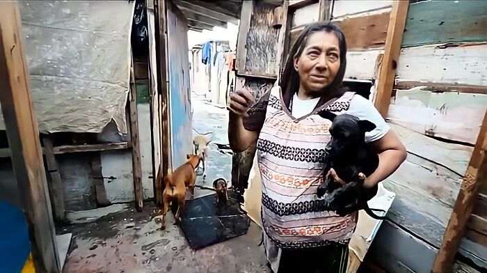 Homeless Woman Found In A Garbage Bag On The Street With 6 Dogs Refuses To Go To A Shelter Because They Don't Allow Pets Homeless Woman Found In A Garbage Bag On The Street With 6 Dogs Refuses To Go To A Shelter Because They Don't Allow Pets