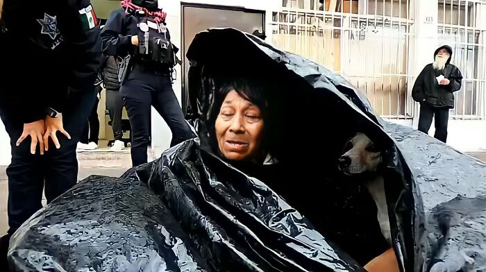 Homeless Woman Found In A Garbage Bag On The Street With 6 Dogs Refuses To Go To A Shelter Because They Don't Allow Pets Homeless Woman Found In A Garbage Bag On The Street With 6 Dogs Refuses To Go To A Shelter Because They Don't Allow Pets